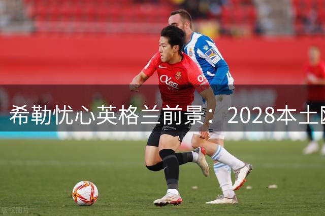 希勒忧心英格兰前景：2028本土欧洲杯或是最后夺冠机会